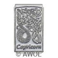 'Celtic Zodiac Capricorn' Pewter Panel Silver Tone Money Clip